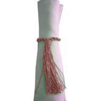 Napkin Tassels Pale Pink