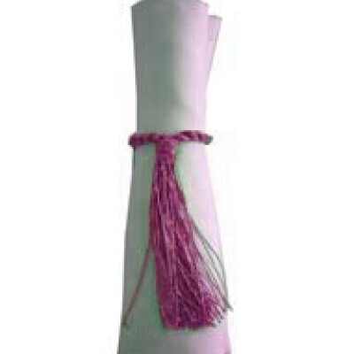 Napkin Tassels Purple