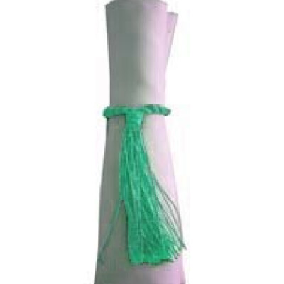 Napkin Tassels Turquoise