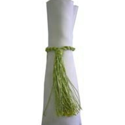 Napkin Tassels Apple