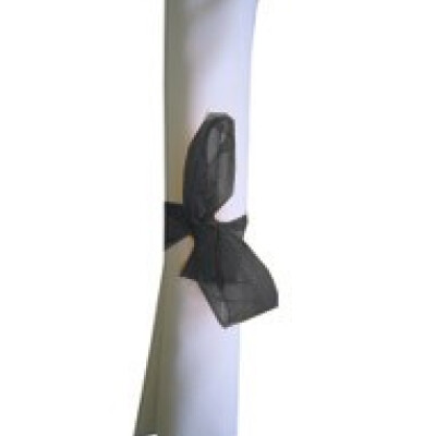 Organza Ribbon Bows Black