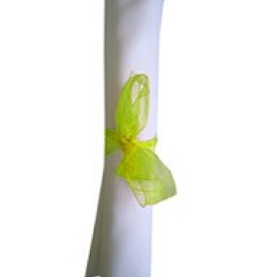 Organza Ribbon Bows Fluorescent Green