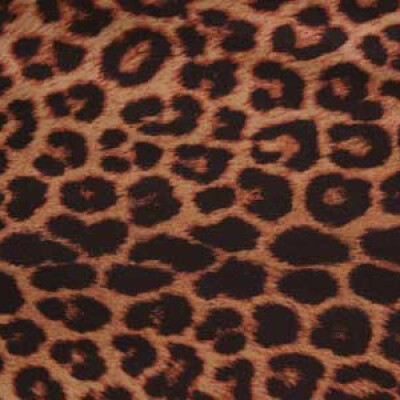 Animal Print