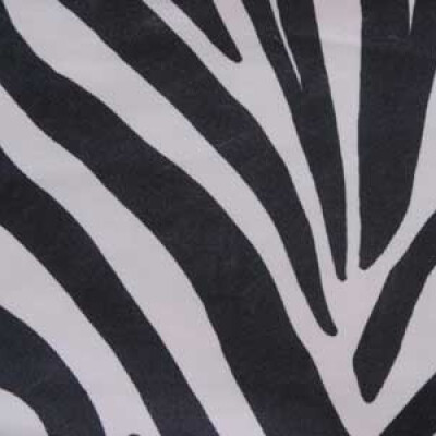 Animal Print Zebra